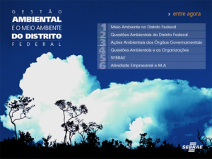 SEBRAE (Latitude Zero - 2006)